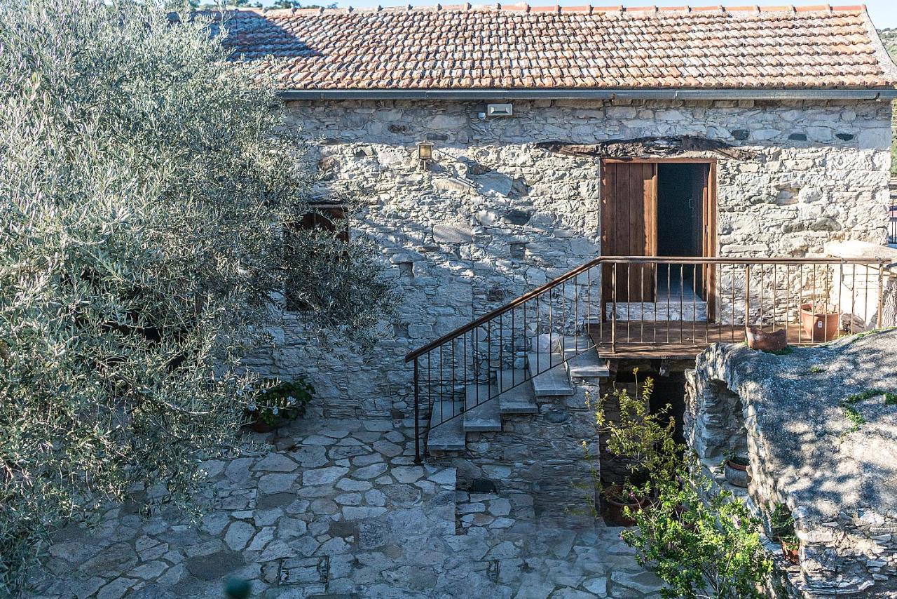 To Konatzi Tou Flokka Διαμέρισμα Agios Theodoros Εξωτερικό φωτογραφία