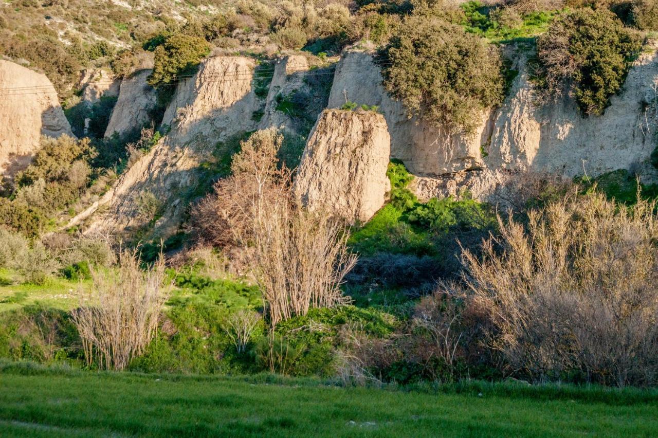To Konatzi Tou Flokka Διαμέρισμα Agios Theodoros Εξωτερικό φωτογραφία