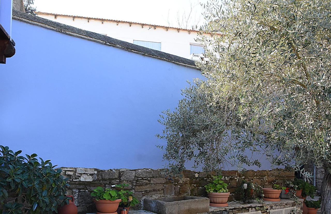 To Konatzi Tou Flokka Διαμέρισμα Agios Theodoros Εξωτερικό φωτογραφία