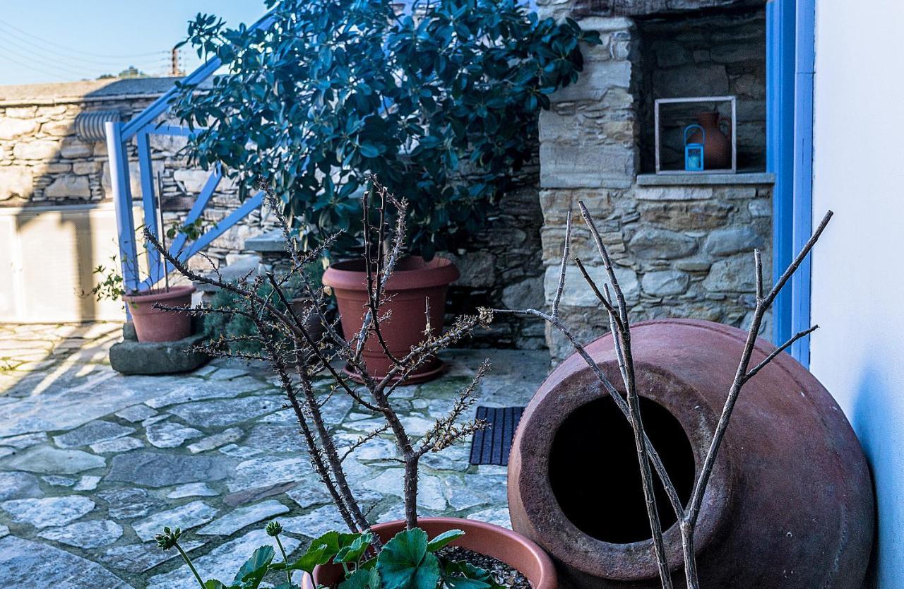 To Konatzi Tou Flokka Διαμέρισμα Agios Theodoros Εξωτερικό φωτογραφία