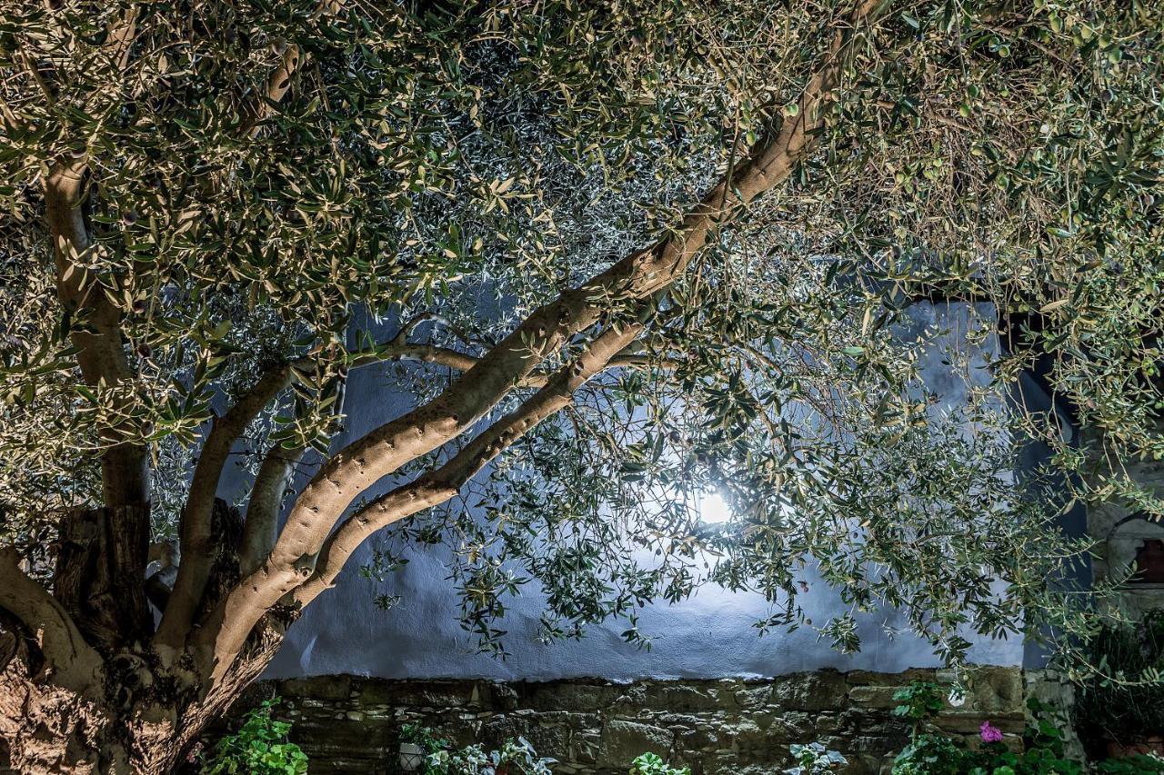 To Konatzi Tou Flokka Διαμέρισμα Agios Theodoros Εξωτερικό φωτογραφία