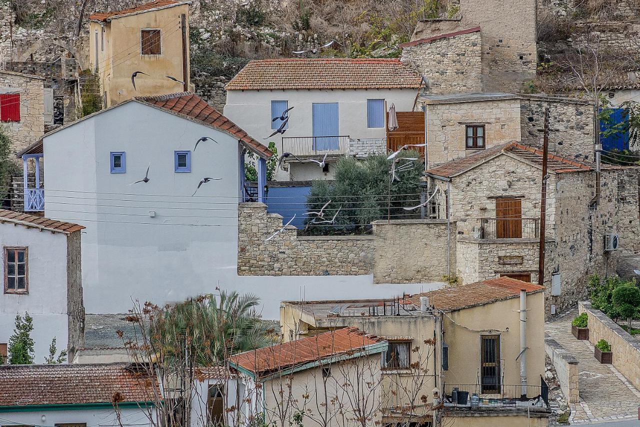 To Konatzi Tou Flokka Διαμέρισμα Agios Theodoros Εξωτερικό φωτογραφία